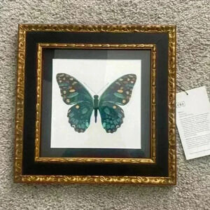 CB2 Metamorphosis by Matthew Williamson